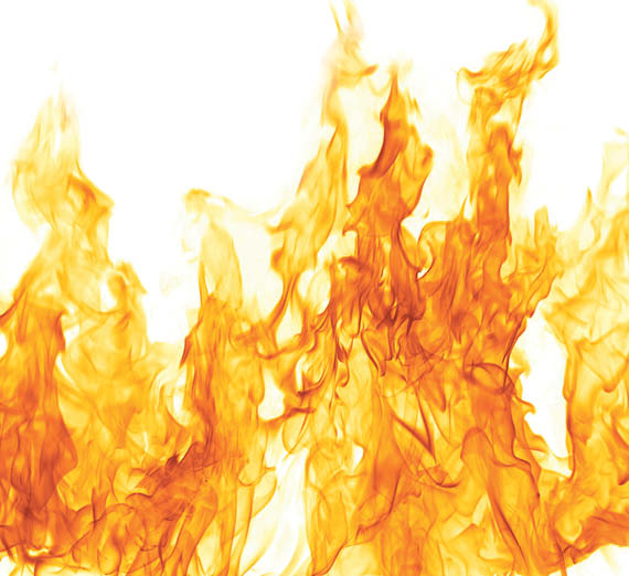 illustration of globe sun and butterflies